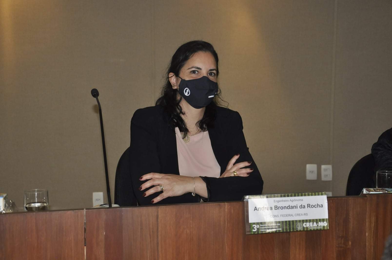 Conselheira Federal Andrea Brondani